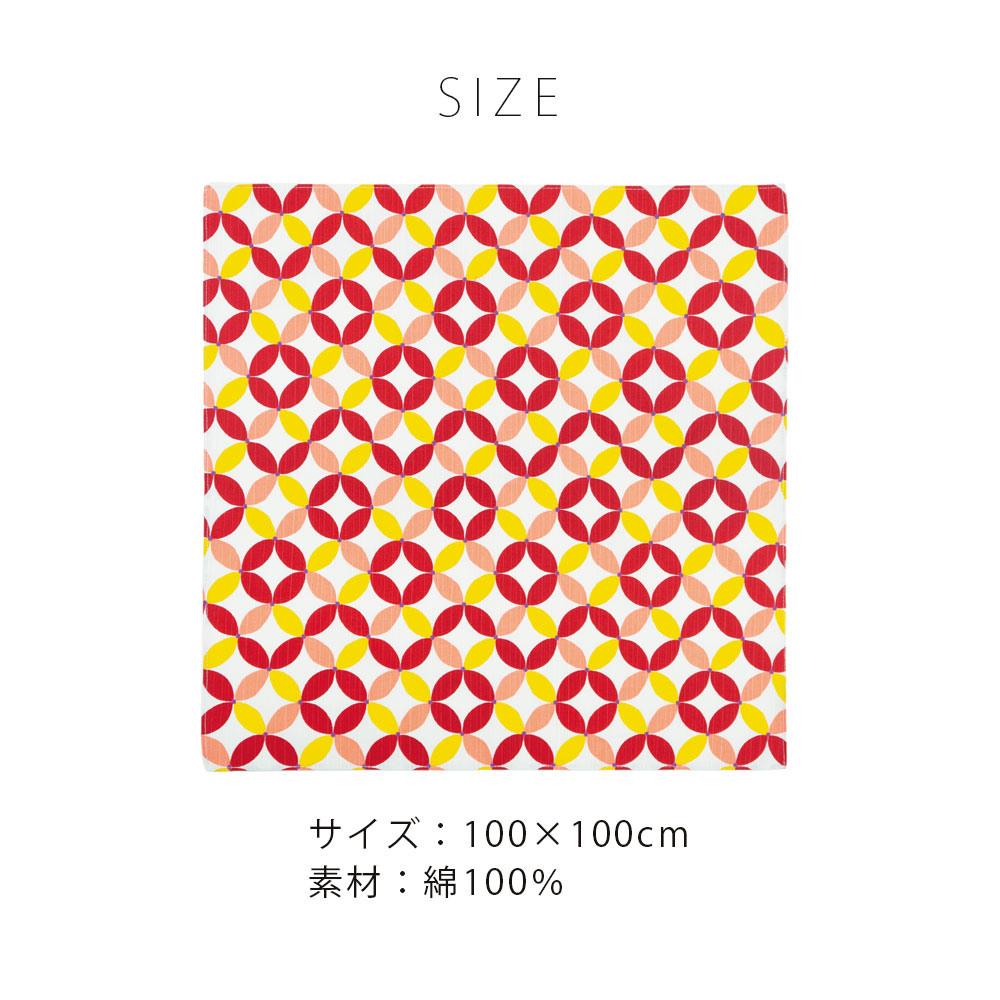 サイズ