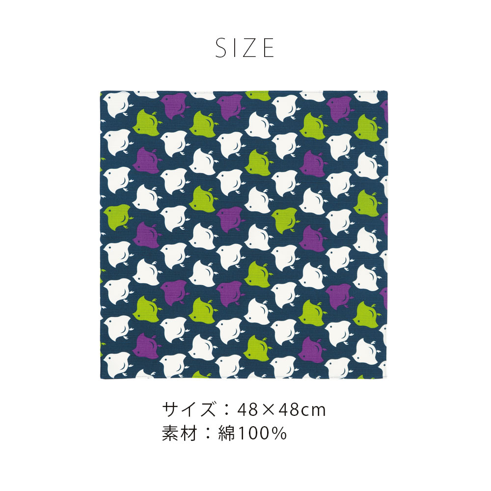 サイズ