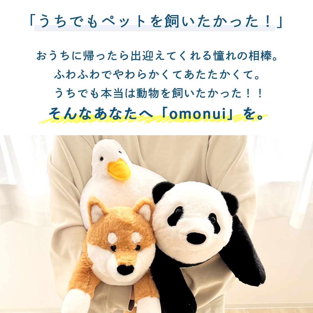 こんな方におすすめ