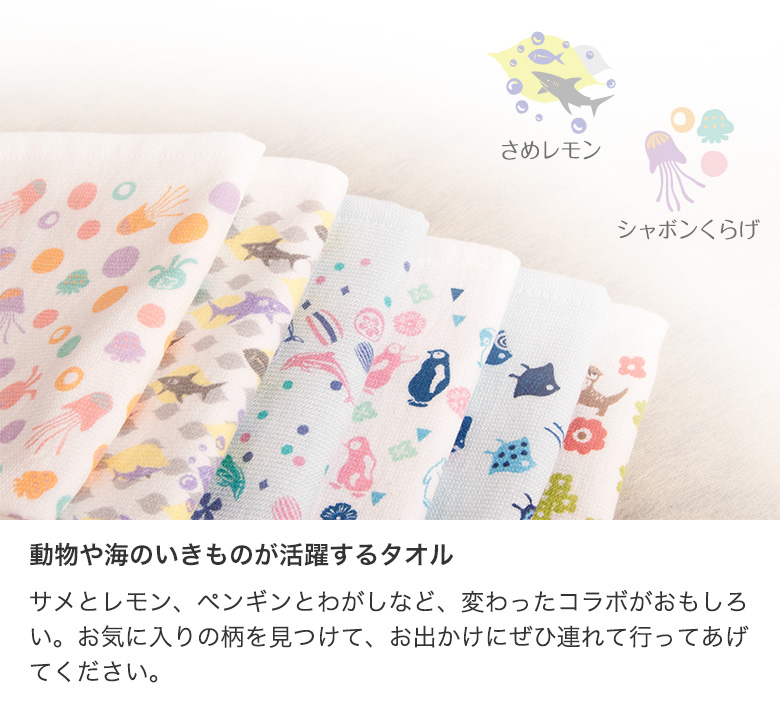 Zootto3