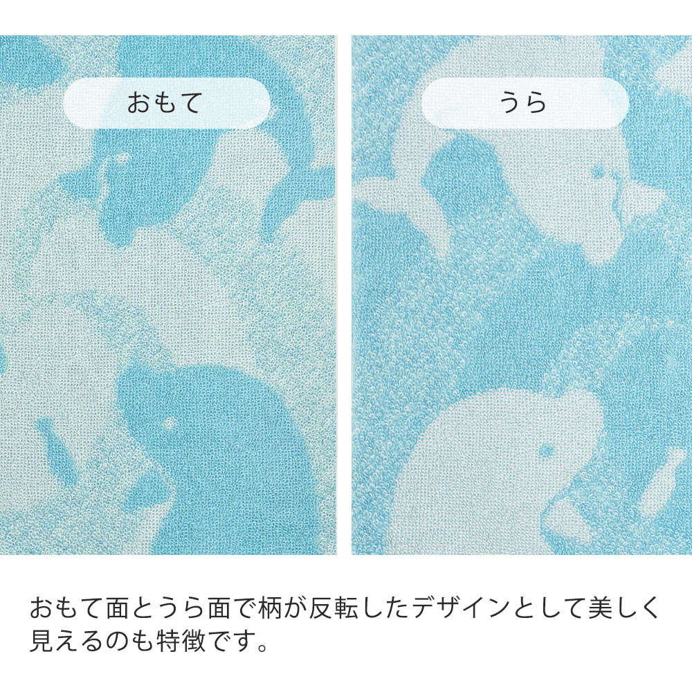 おもてうら