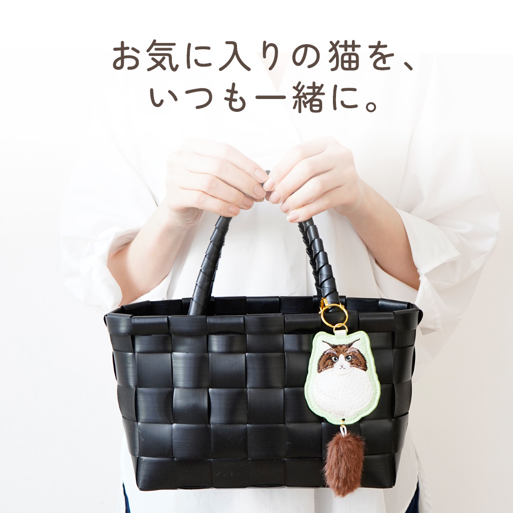 お気に入りの猫をいつも一緒に