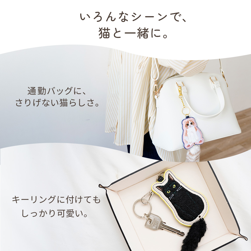いろんなシーンで猫と一緒に