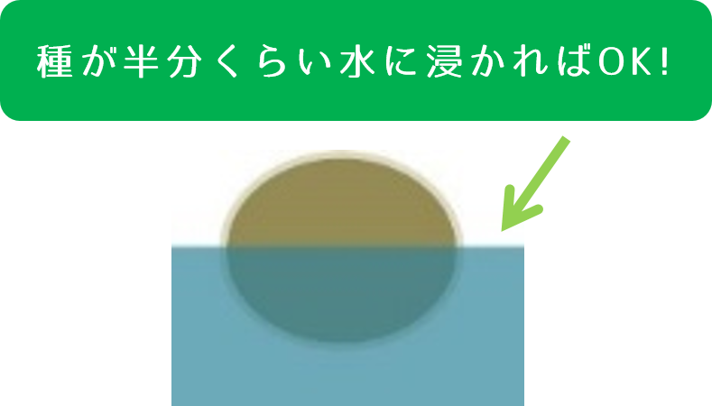 種と水