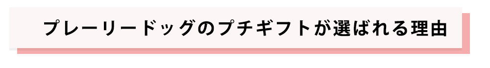 プレーリードッグプチギフトポイント1