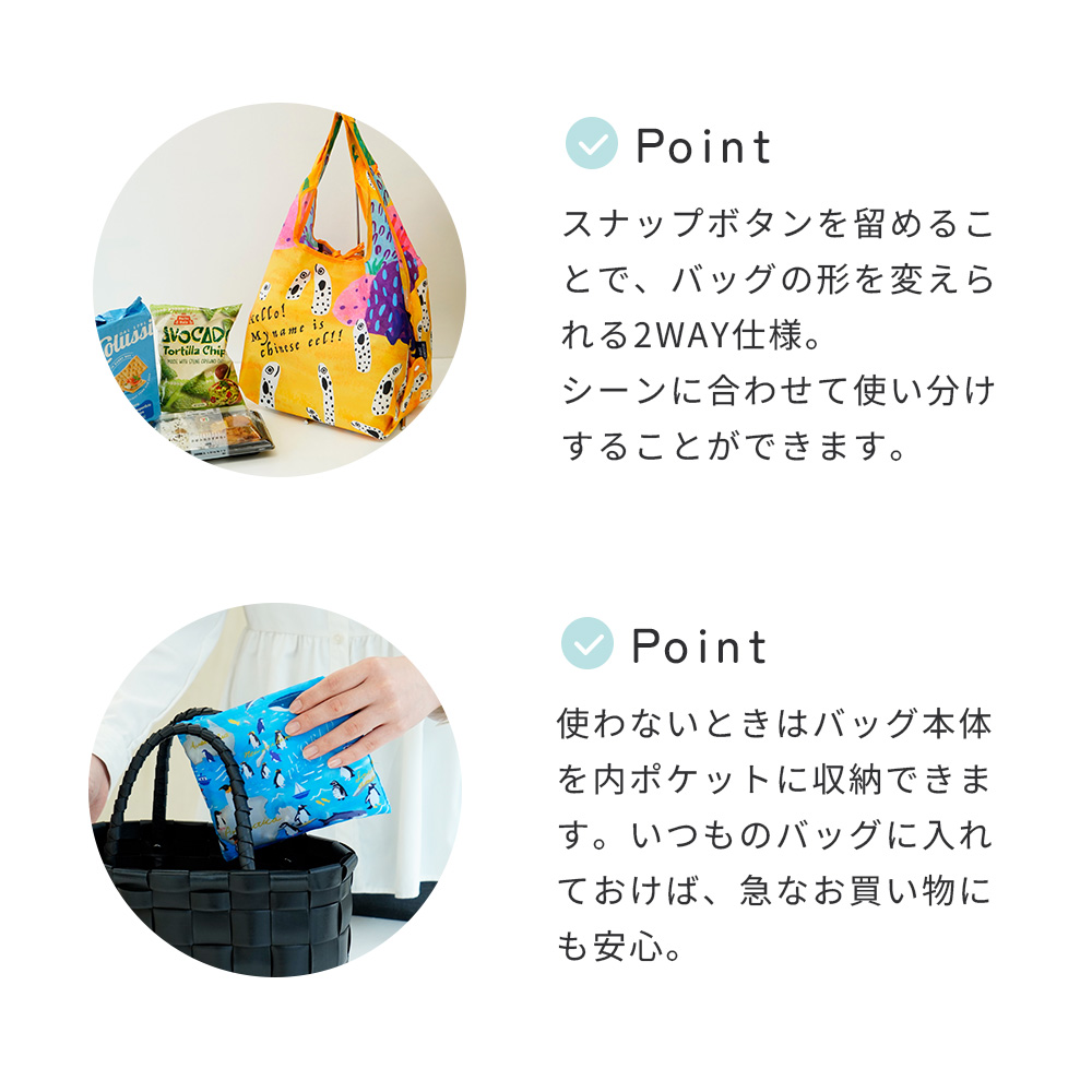 海の生き物 ギフト 3点セット 今治ハンカチ エコバッグ 折りたたみ zootto |  チンアナゴ メンダコ カワウソ ペンギン