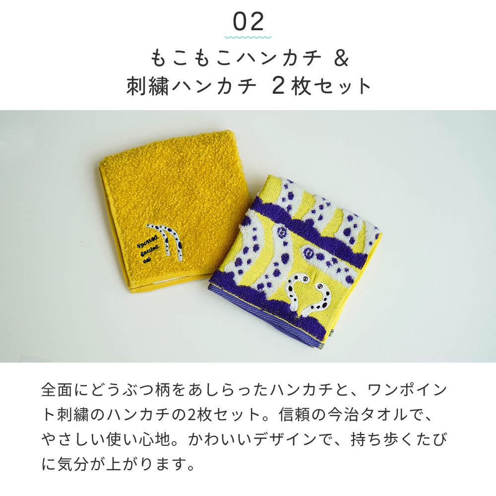 海の生き物 ギフト 3点セット 今治ハンカチ エコバッグ 折りたたみ zootto |  チンアナゴ メンダコ カワウソ ペンギン