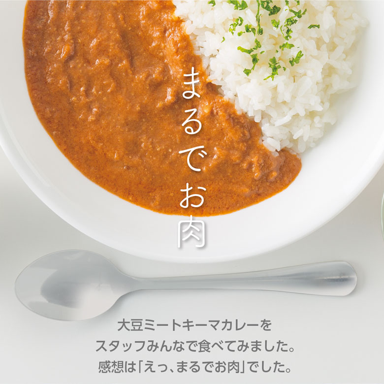 大豆ミートキーマカレー