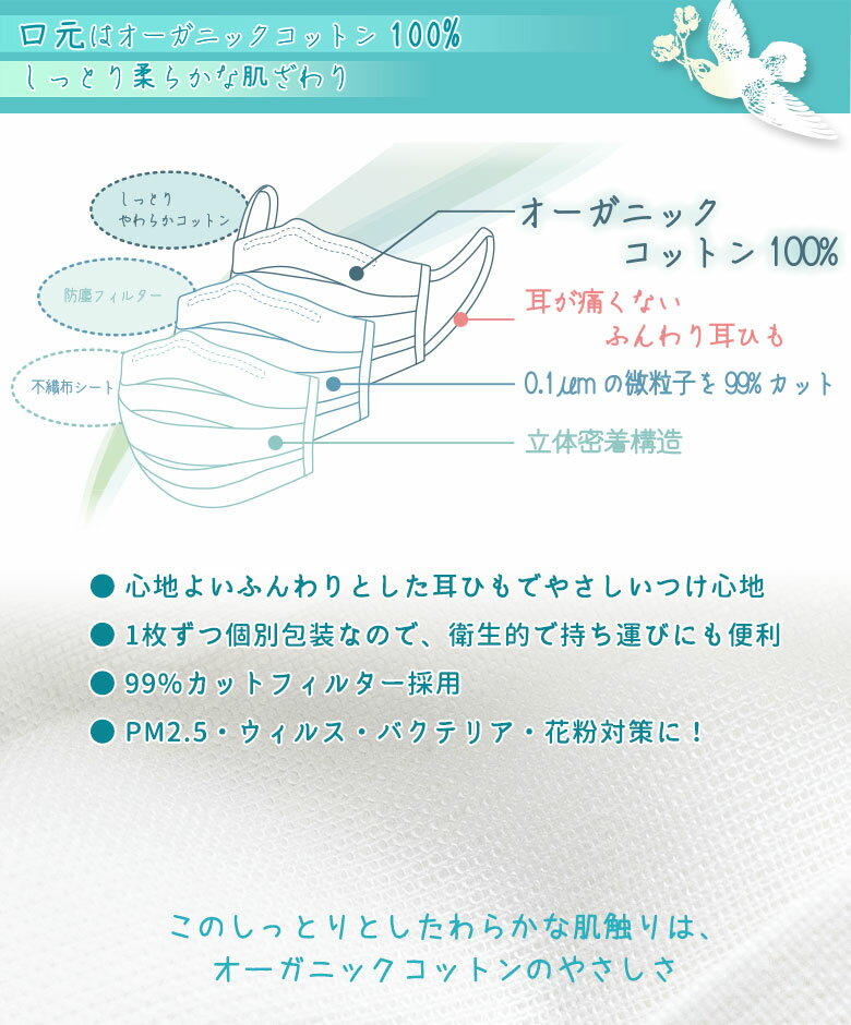 マスクケース説明