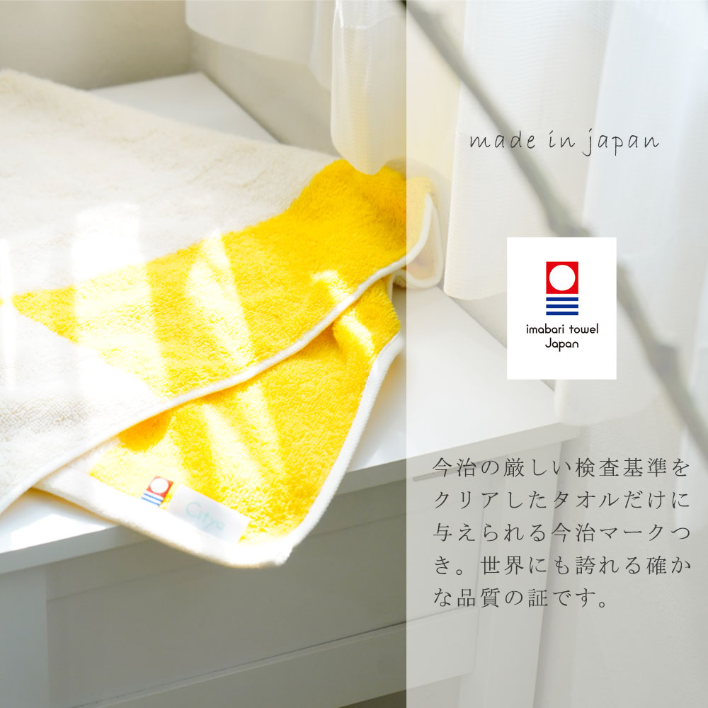 サイズ