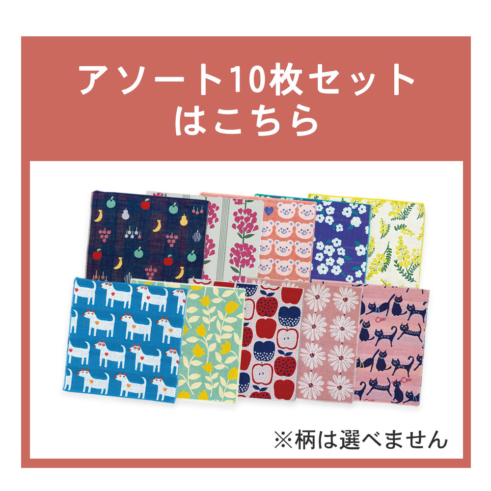 アソート10枚セット