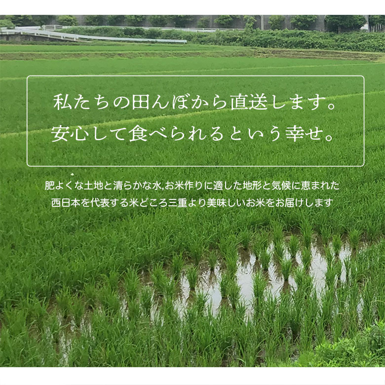 三重県産お米
