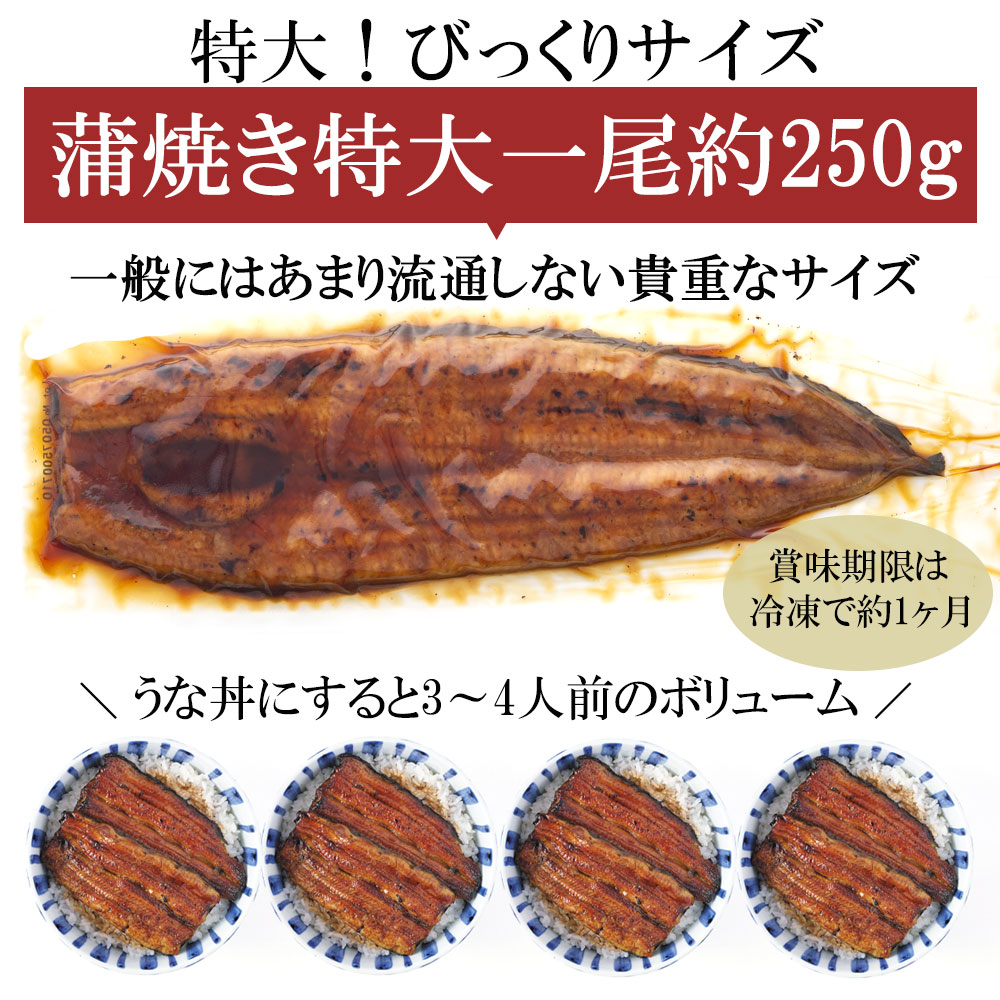 国産 うなぎ蒲焼き