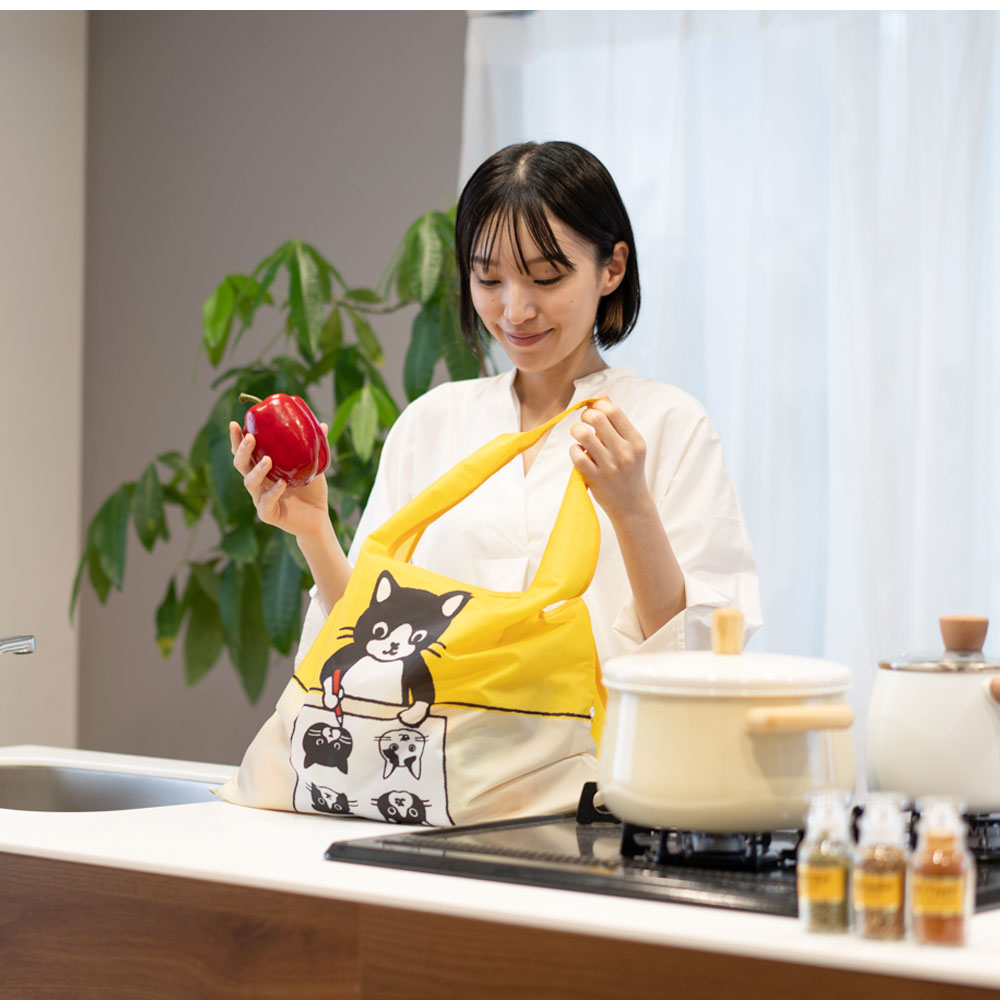 使用イメージ