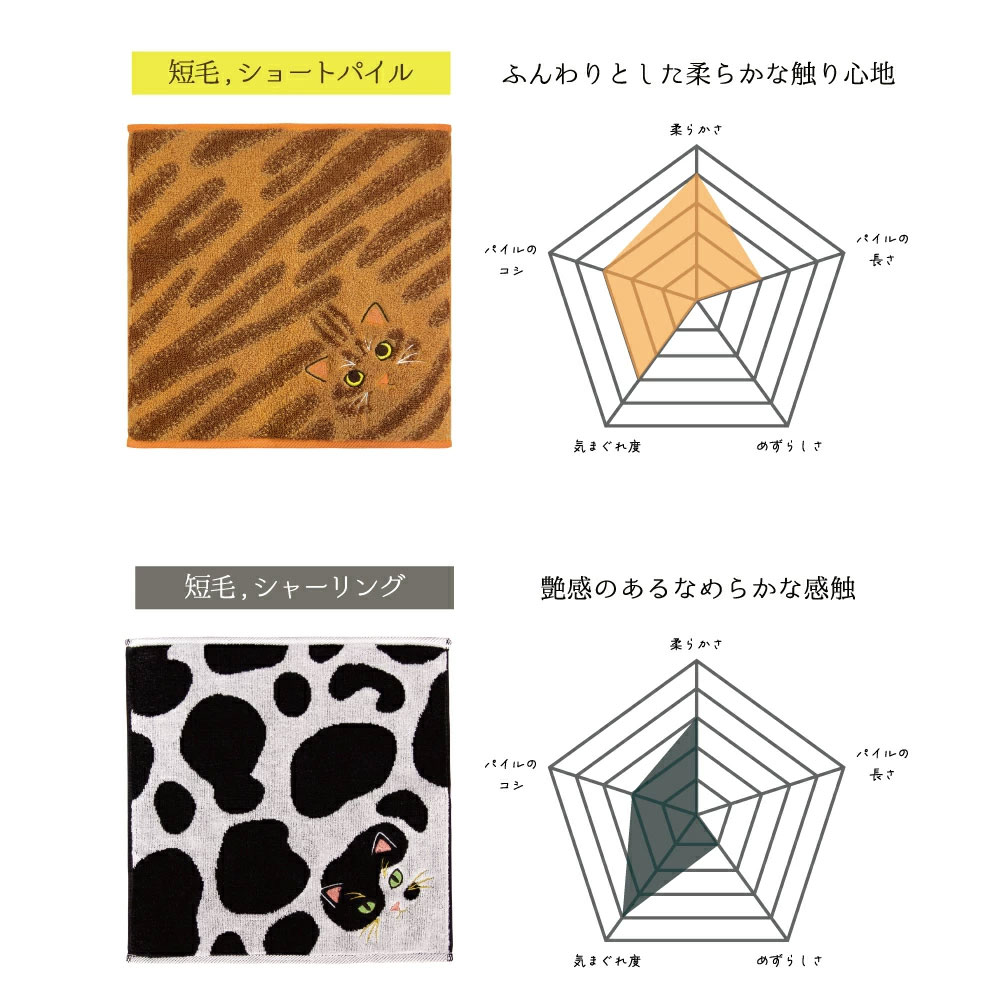 うちの子メイト にゃんこシリーズ今治毛並みタオルハンカチ