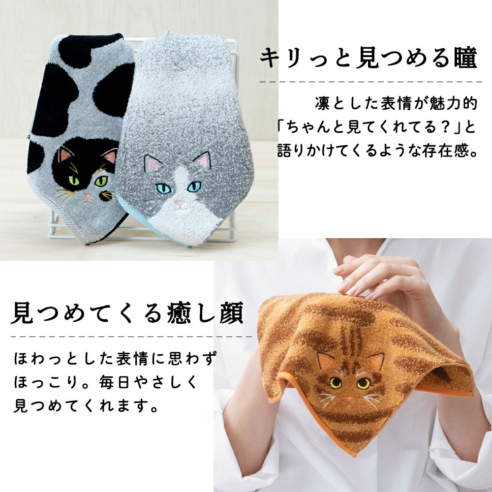 うちの子メイト にゃんこシリーズ今治毛並みタオルハンカチ