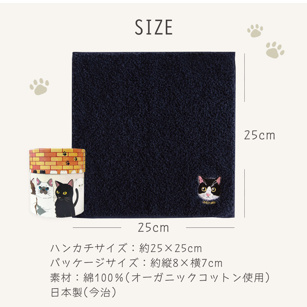 サイズ
