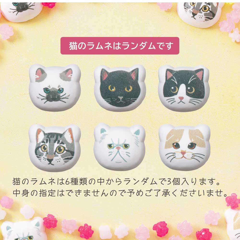 猫のラムネはランダムです