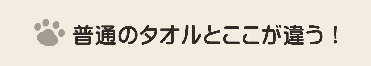 ここが違う