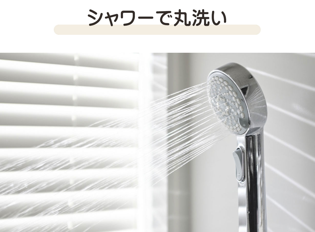 シャワーで丸洗い