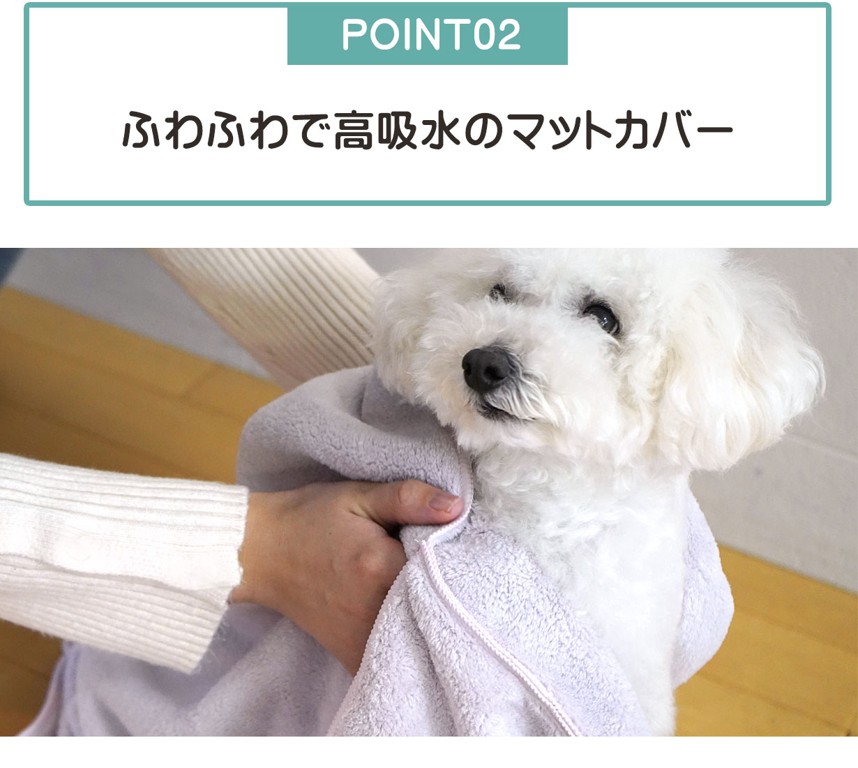 ポイント2