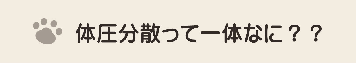 体圧分散とは