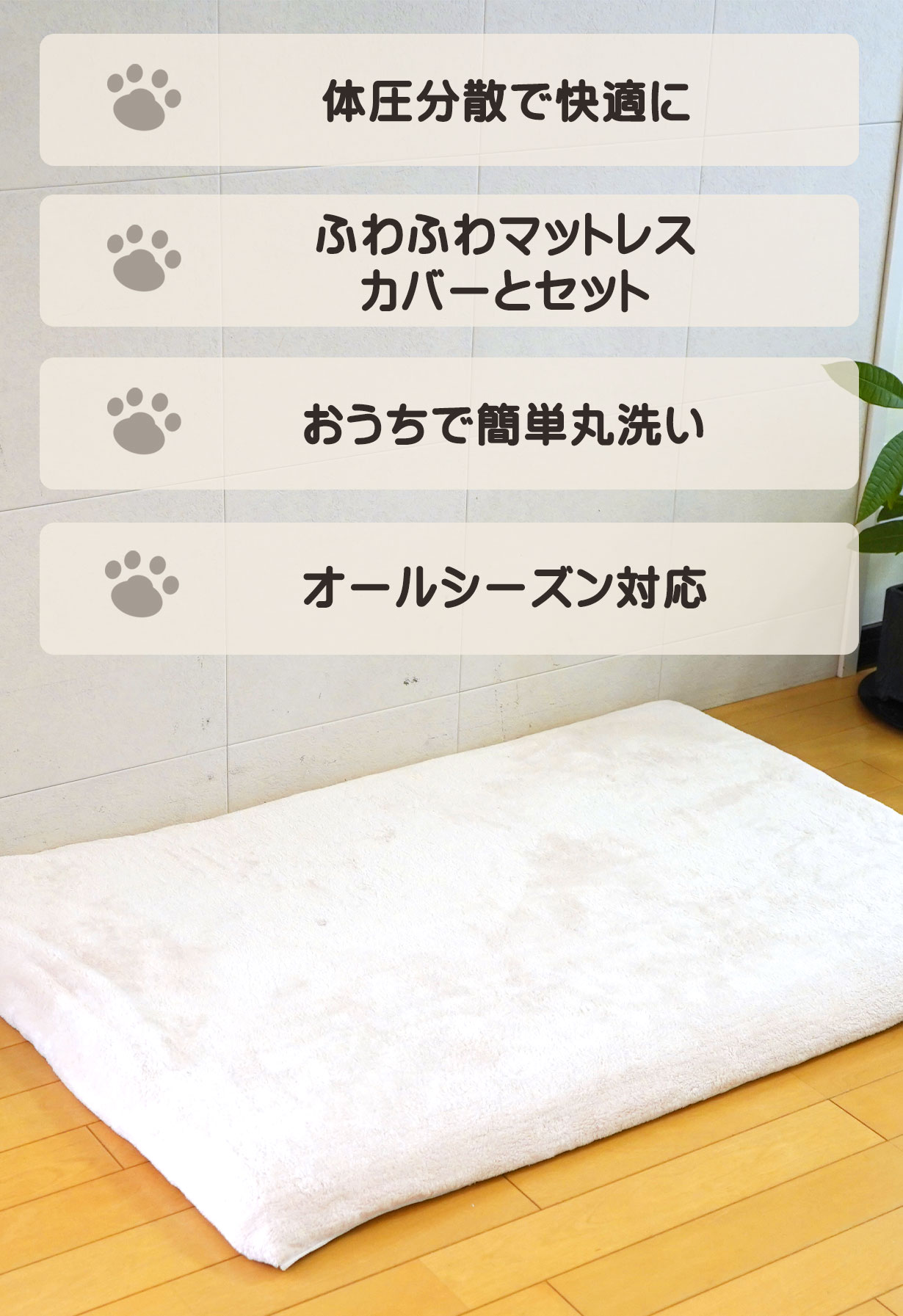 全体イメージ