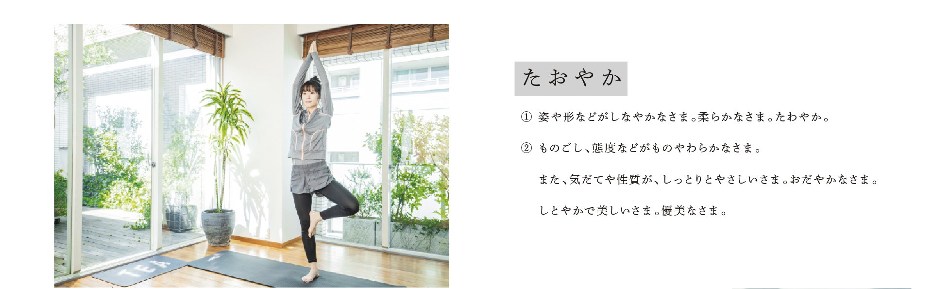 たおやかの意味